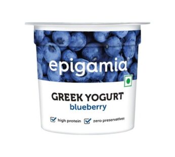 Epigamia Blueberry Flavoured Yogurt